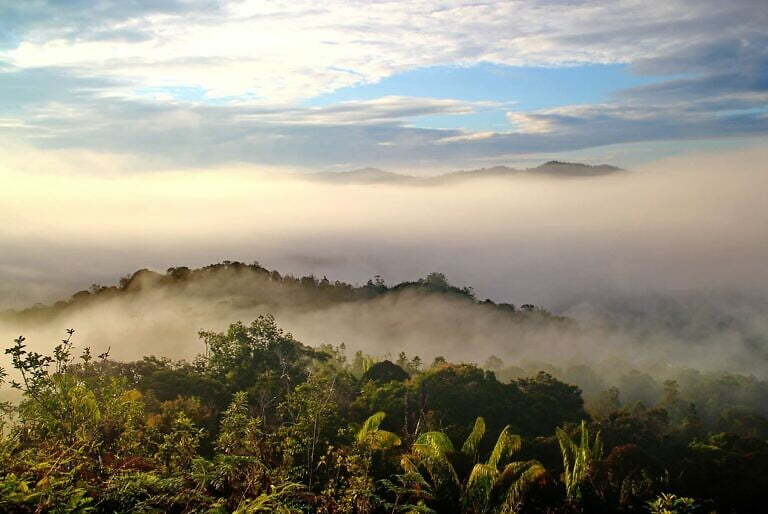 Maleisisch Borneo: een overzicht (1)