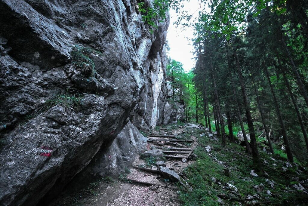 Reiter Alm