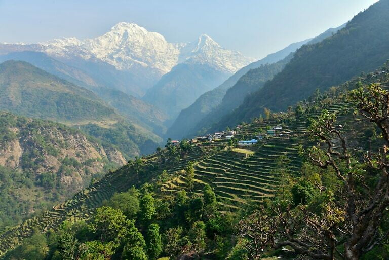 Phu en Nar trek: Landruk tot Pokhara (16)