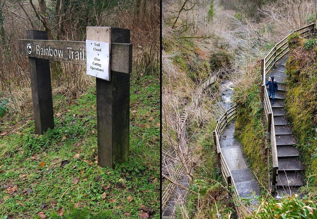 Glenariff Forest Park - Waterfall Walkway