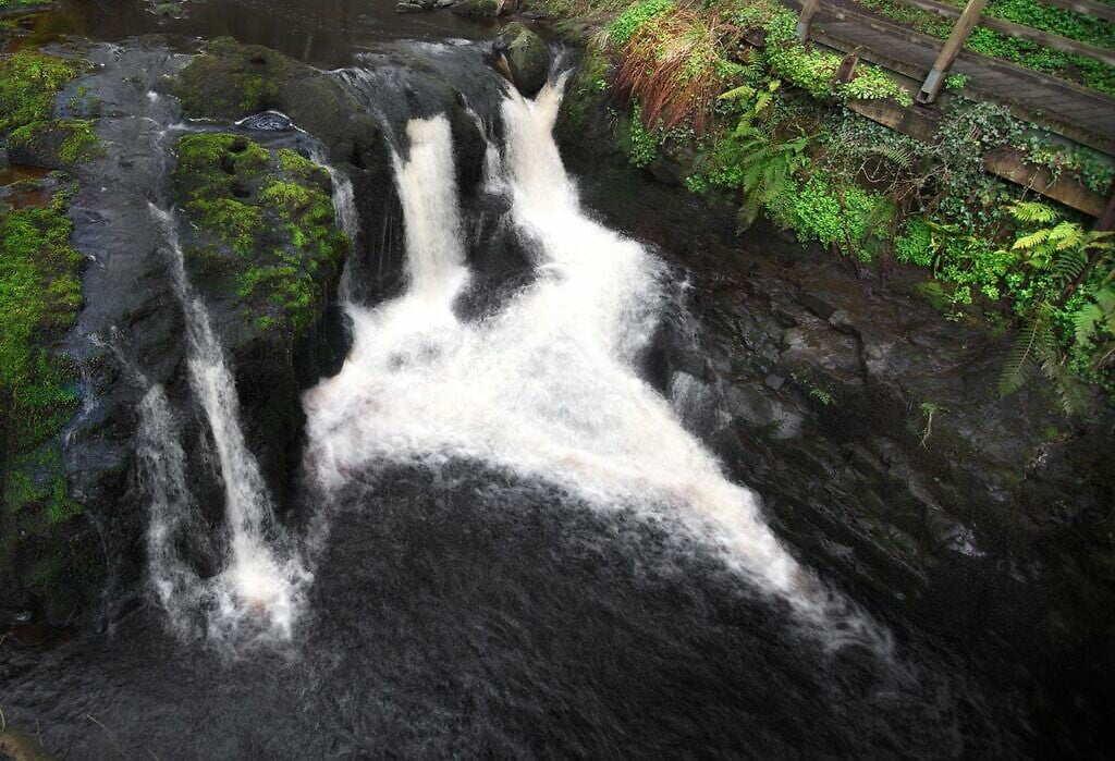 Glenariff Forest Park - Waterfall Walkway