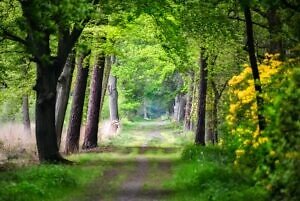's Herenbos Oostmalle