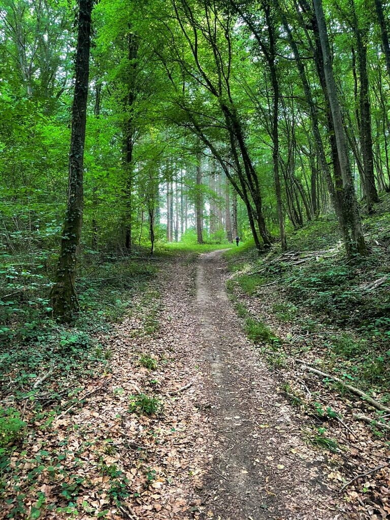 Natuurpark Viroin-Hermeton