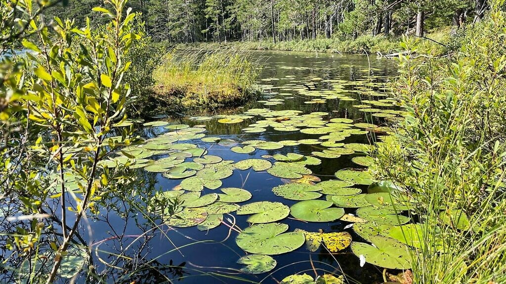 Metesjön meer