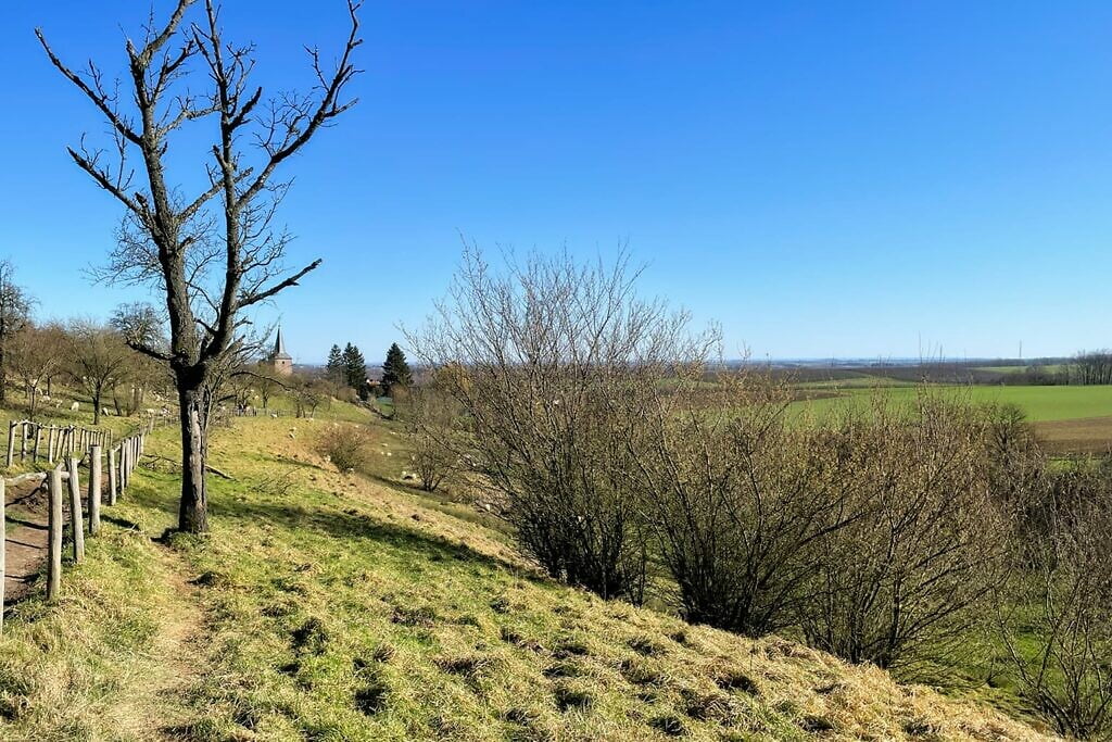 borgloon-04