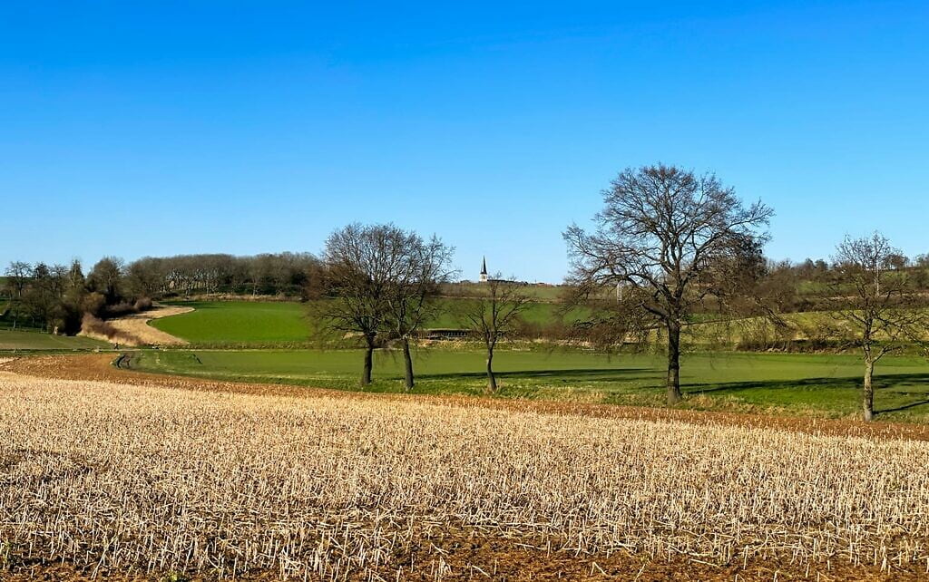 borgloon-13