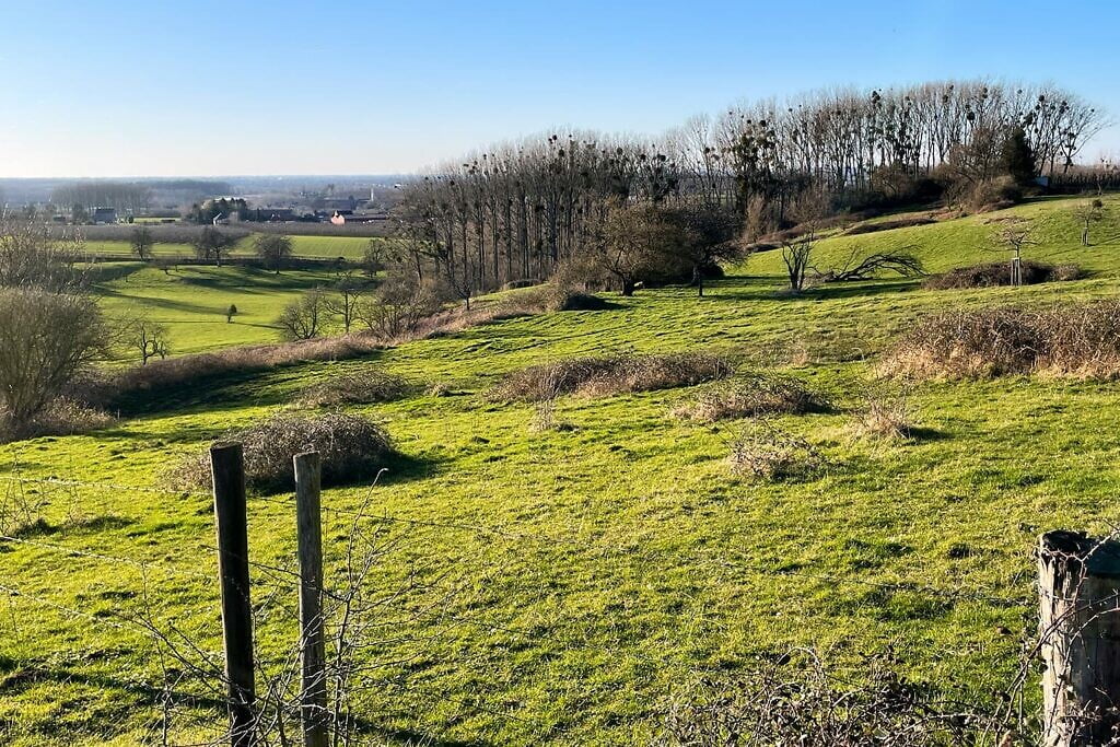 borgloon-22