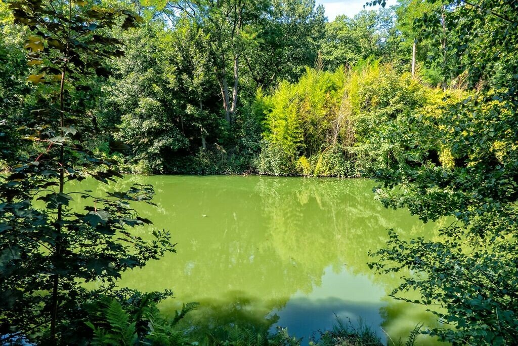 Kanaal Bocholt-Herentals bij Sas 3