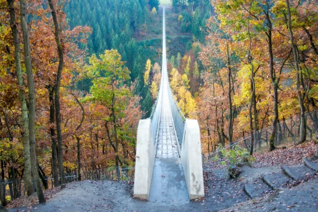 Geierlay Bridge