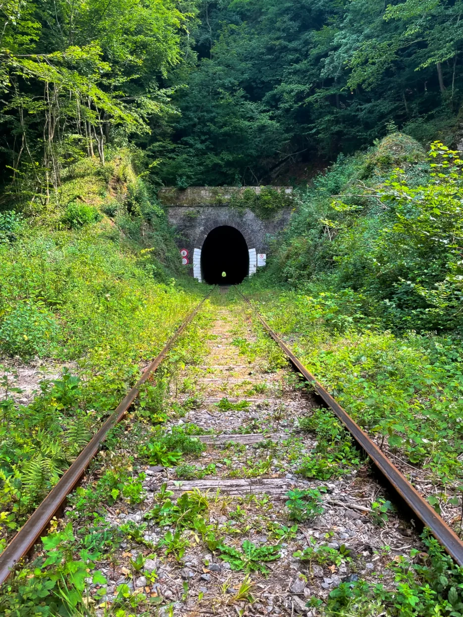 Tunnel Des Dourbes