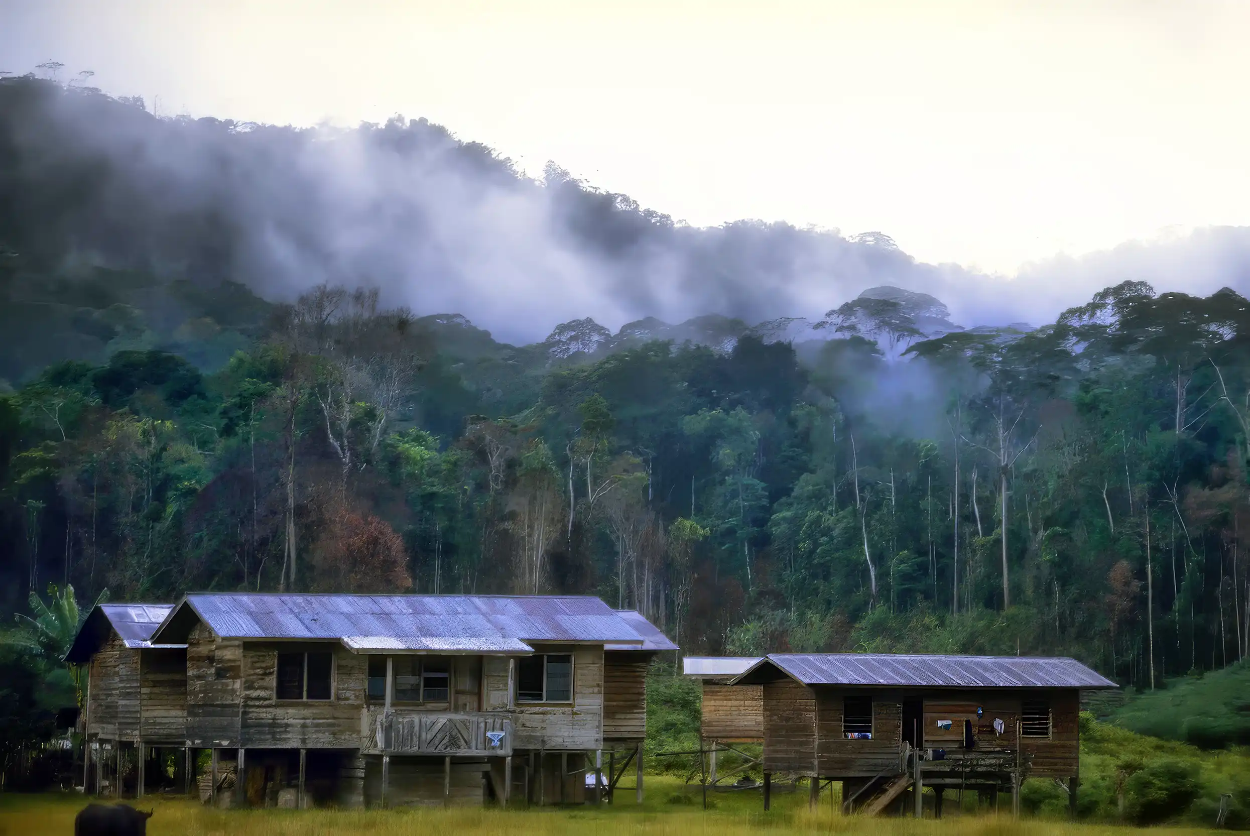 Maleisisch Borneo: Bario – Kelabit Highlands (3)