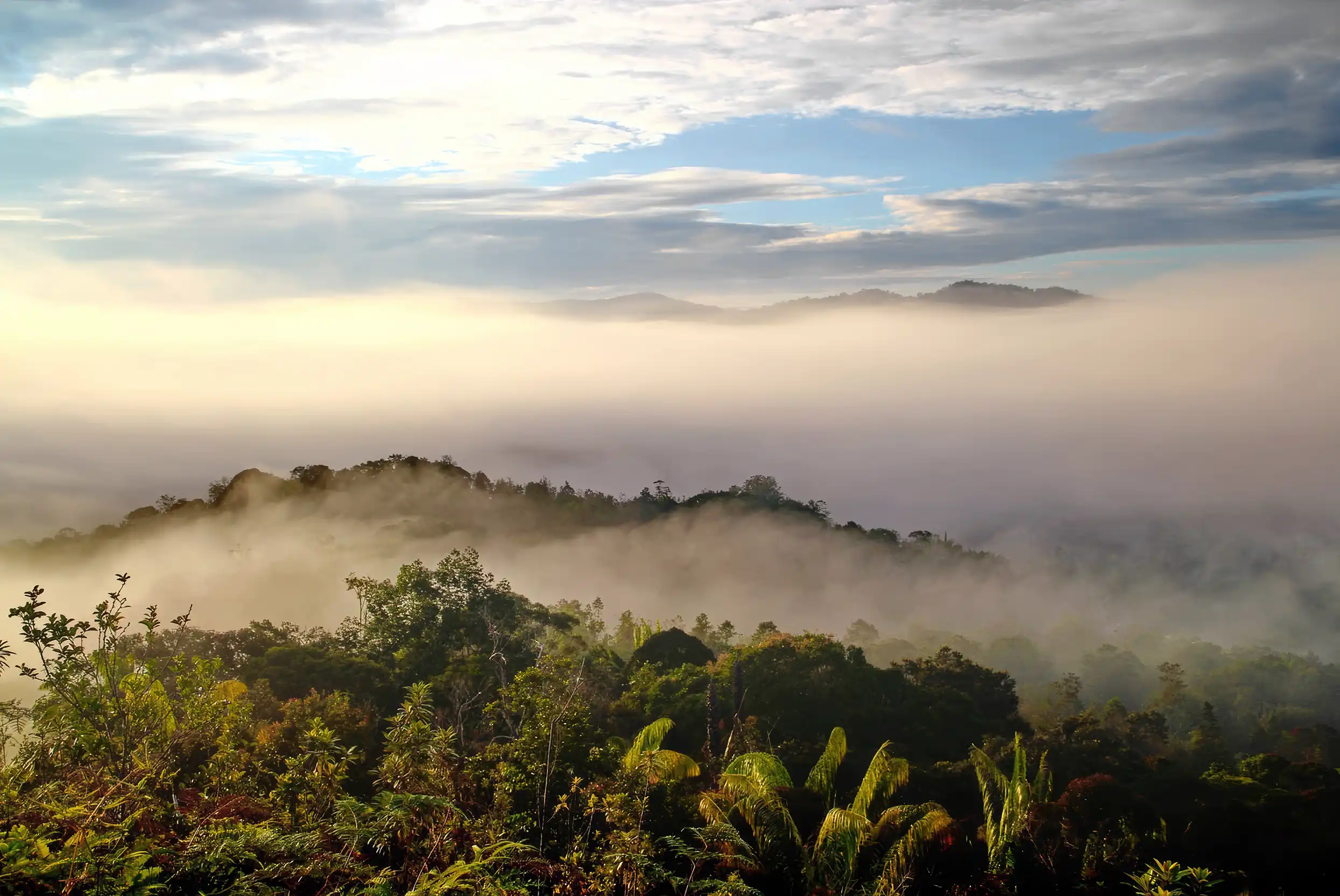 Maleisisch Borneo: een overzicht (1)