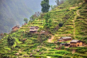 Ghandruk terrassen