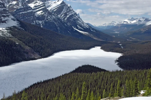 Peyto Lake