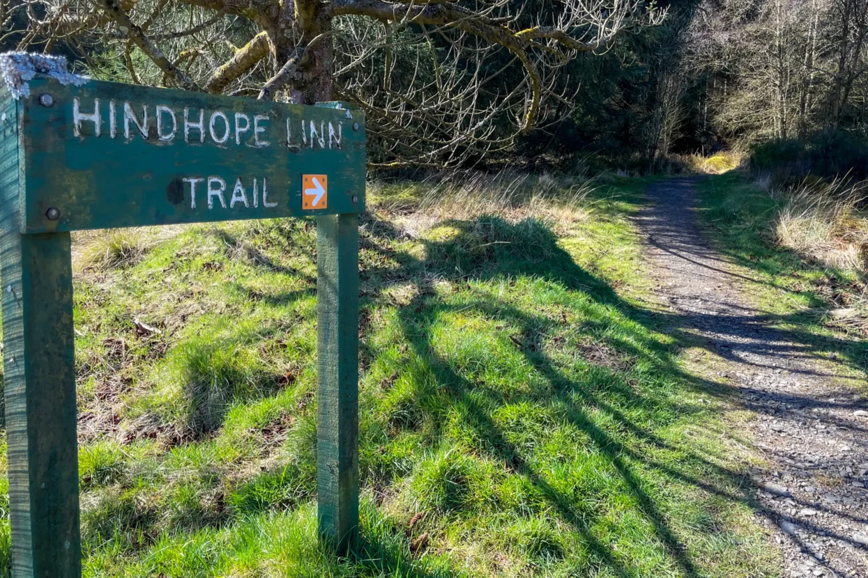 Hindhope Linn Trail