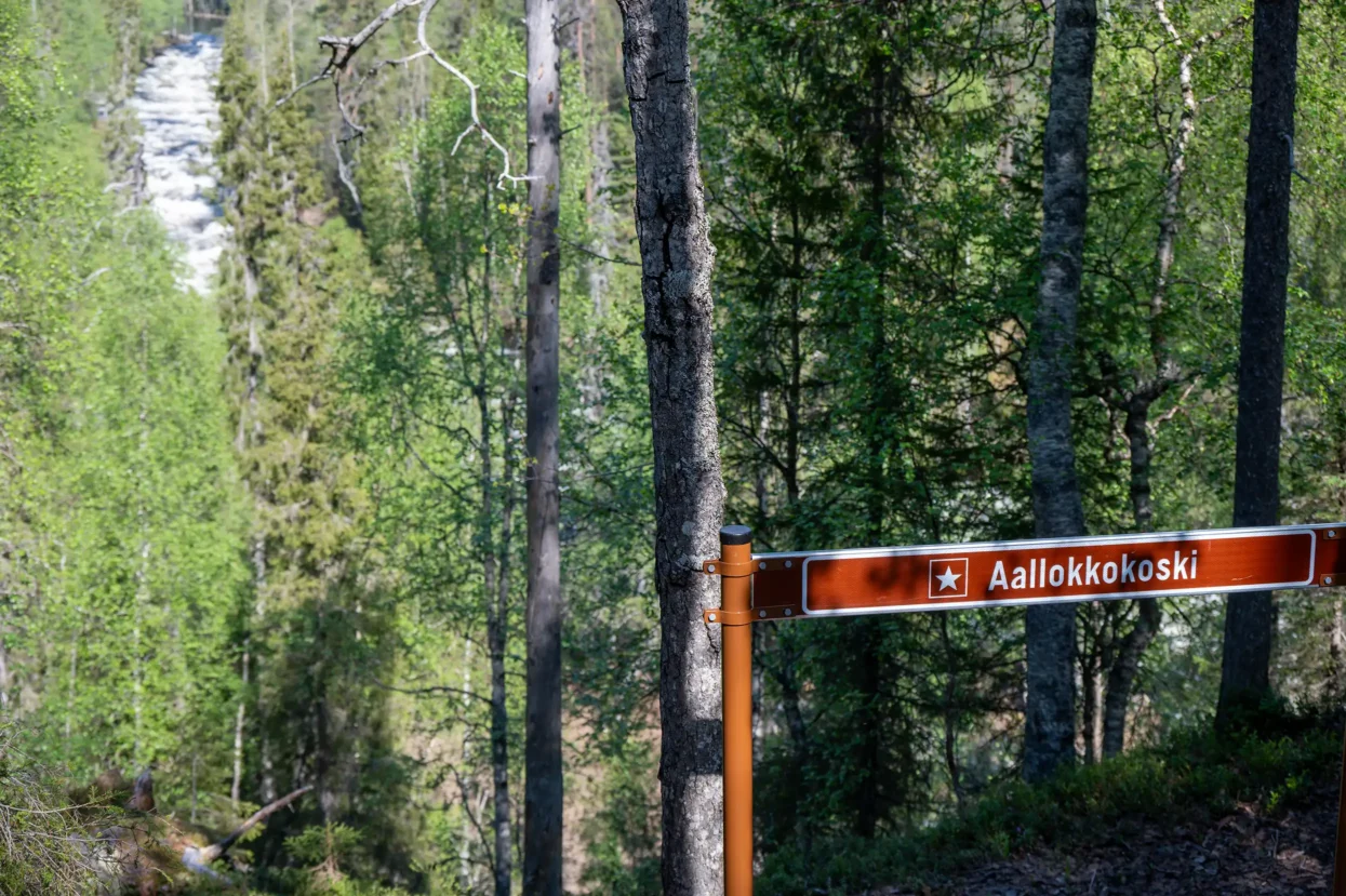 Aallokkokoski canyon