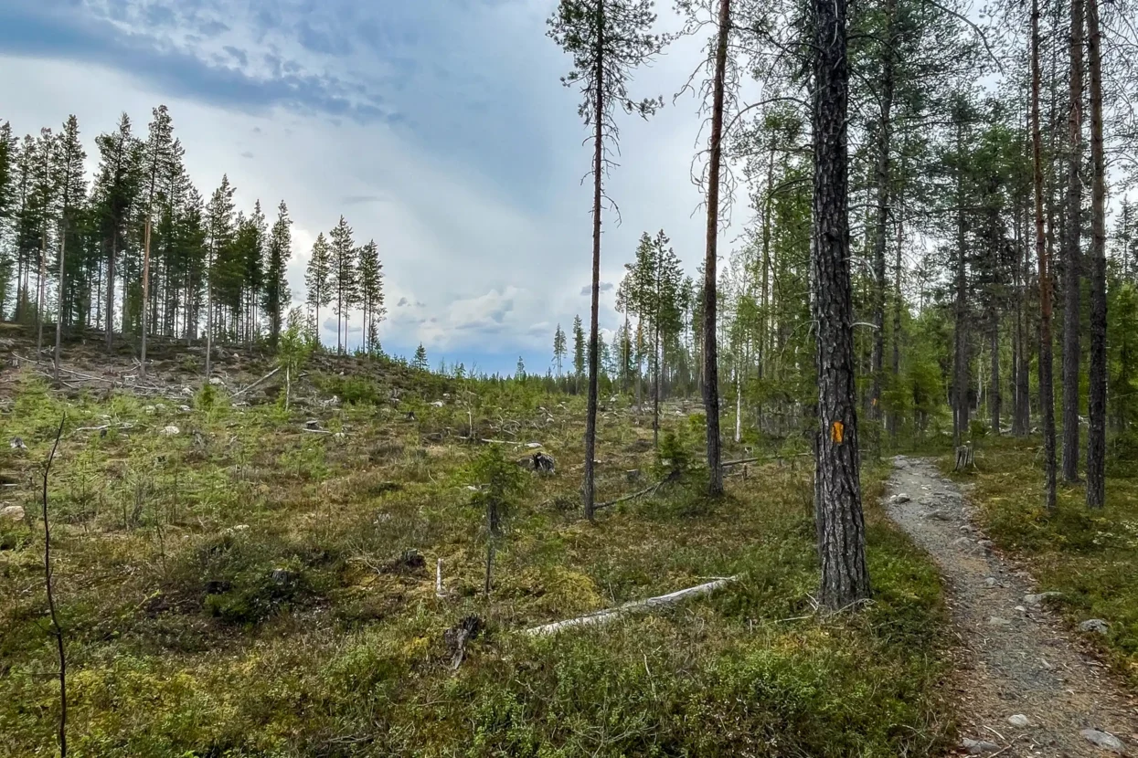 Ristikallio Trail