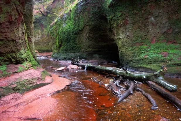 Finnich Glen / Devil's Pulpit