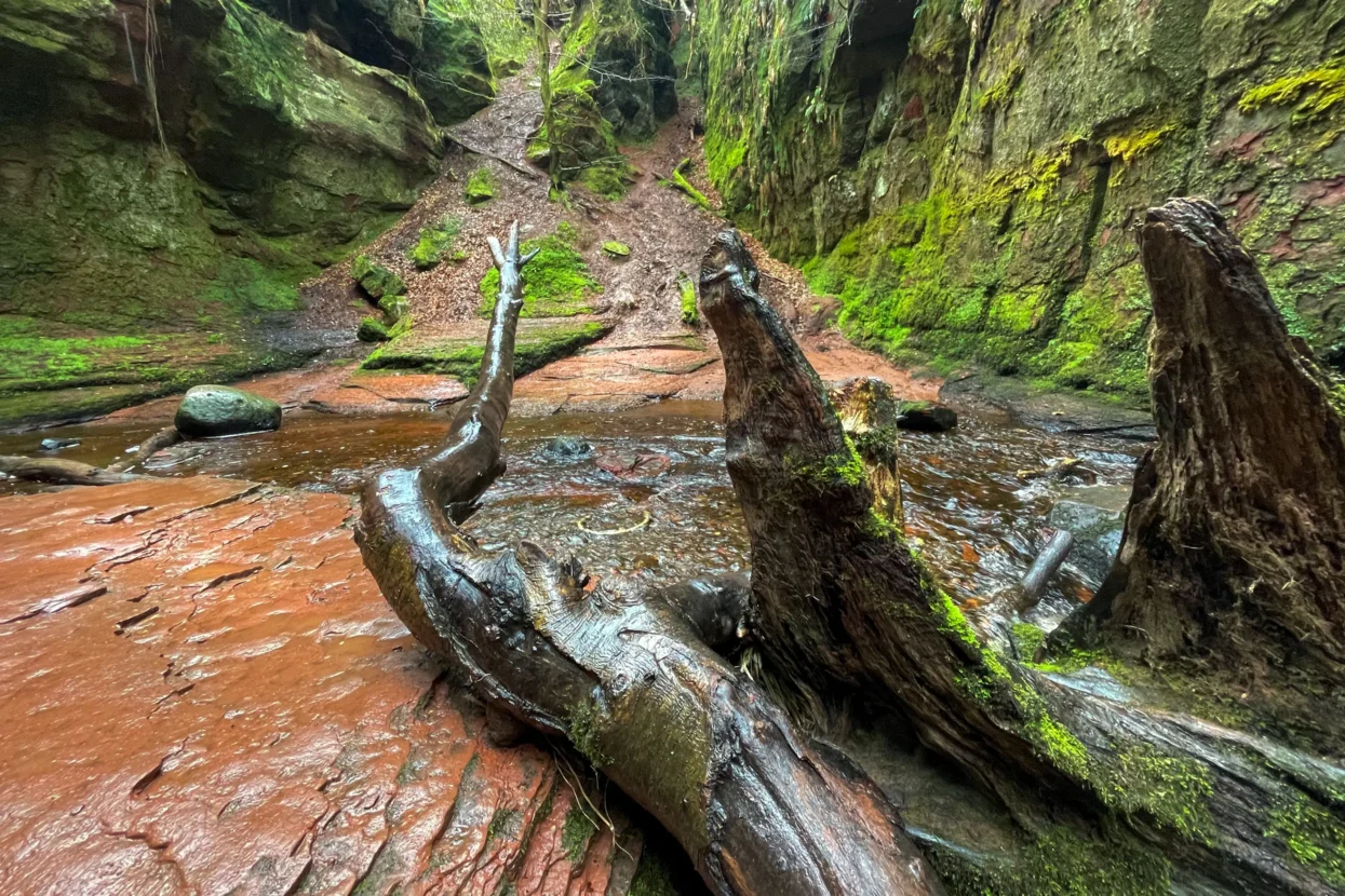 Finnich Glen / Devil's Pulpit