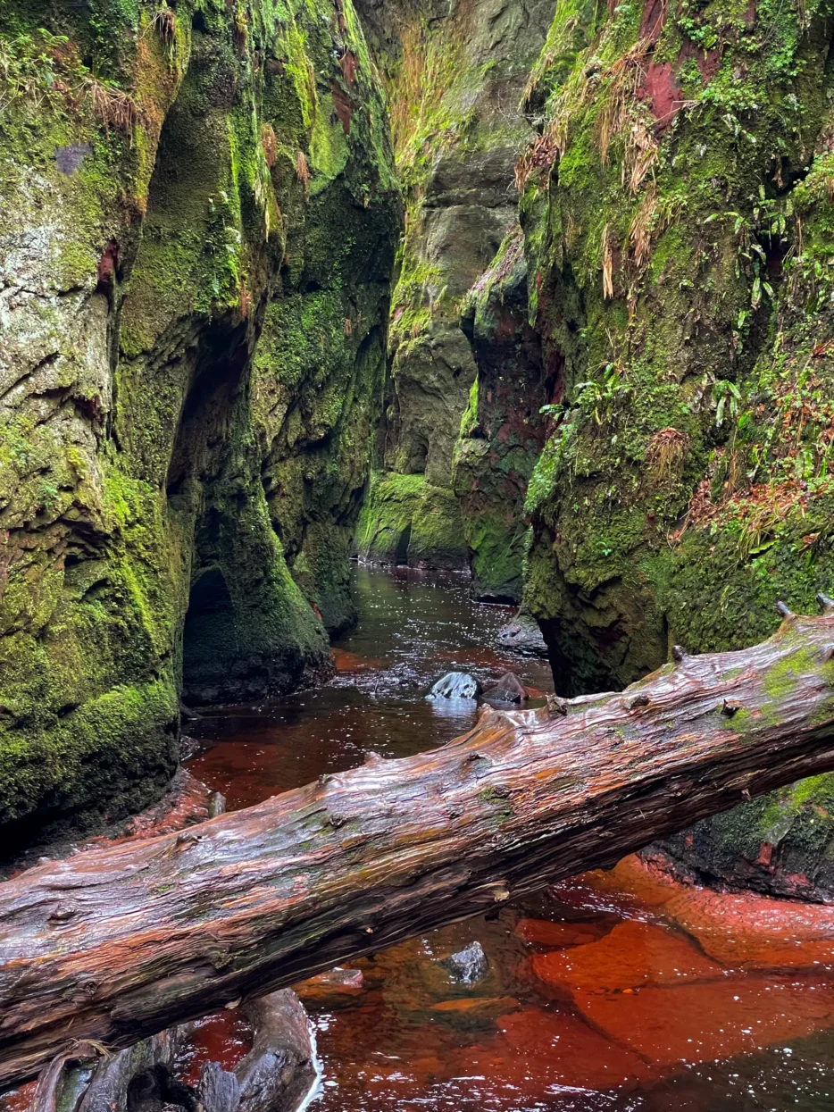 Finnich Glen / Devil's Pulpit