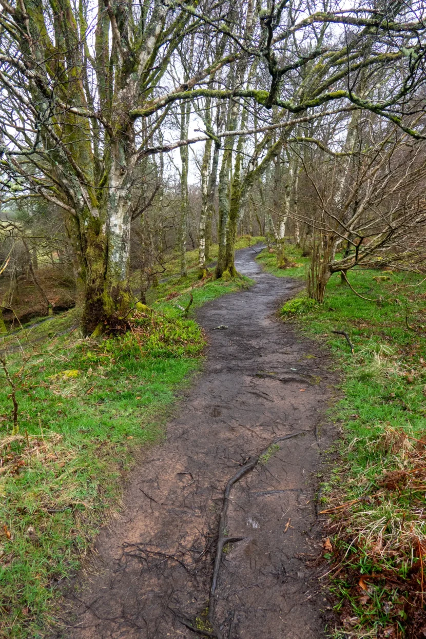 Finnich Glen / Devil's Pulpit