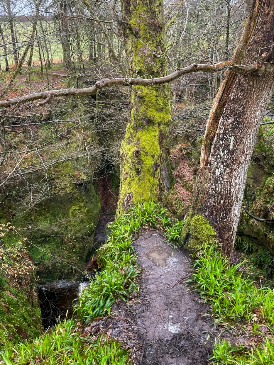 Finnich Glen / Devil's Pulpit