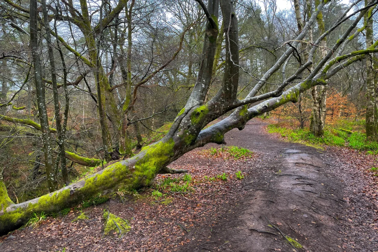 Finnich Glen / Devil's Pulpit