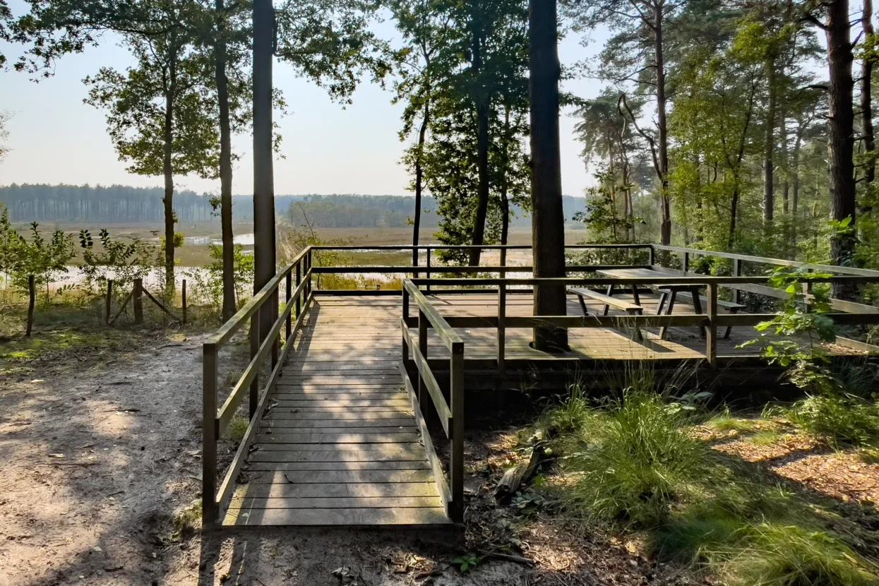 Uitkijkpunt natuurreservaat Molenheide