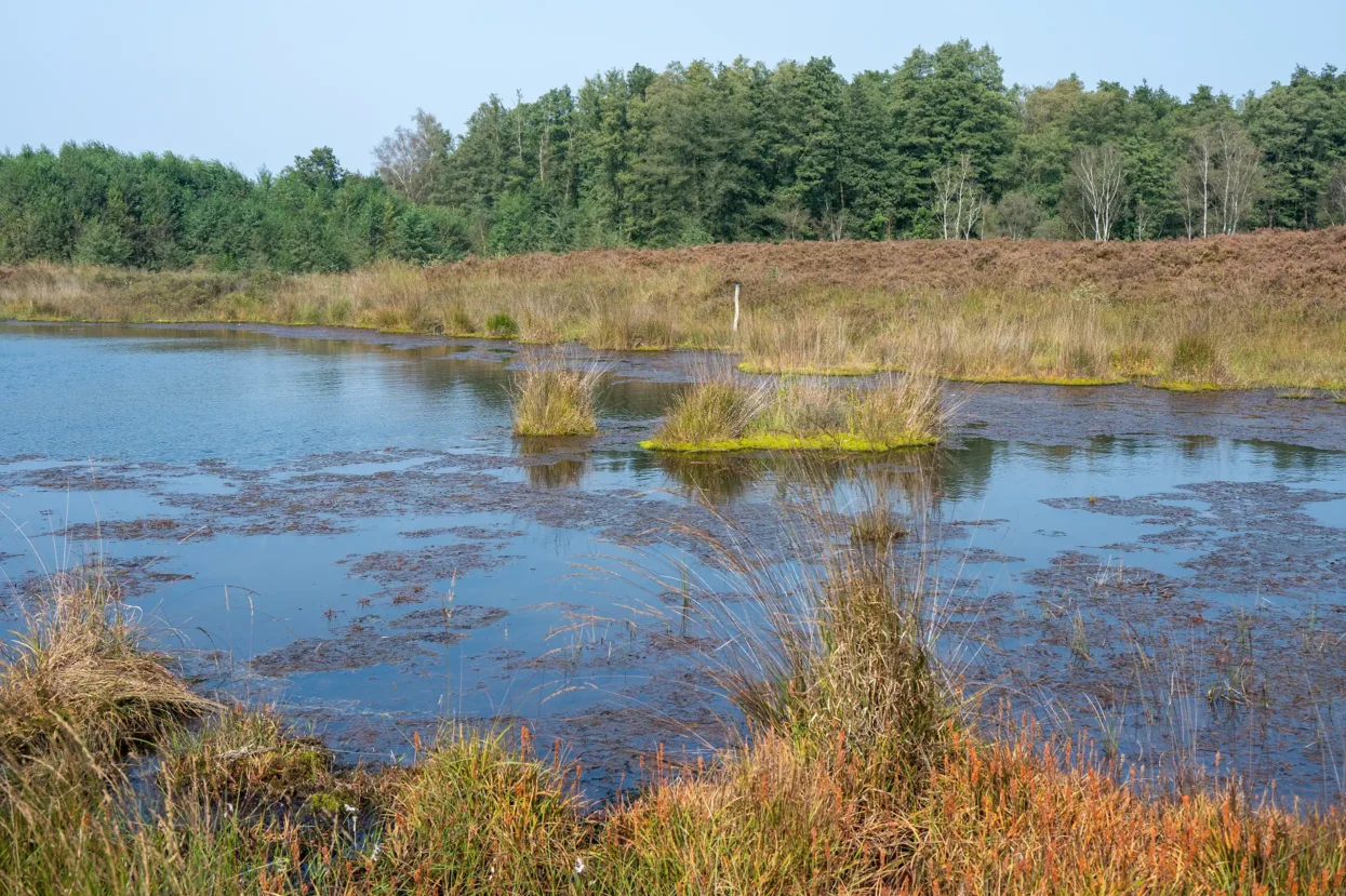 Natuurreservaat Molenheide