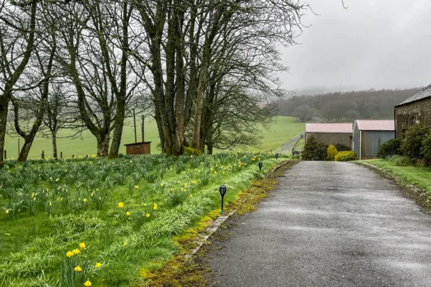 Shandon Farmhouse B&B