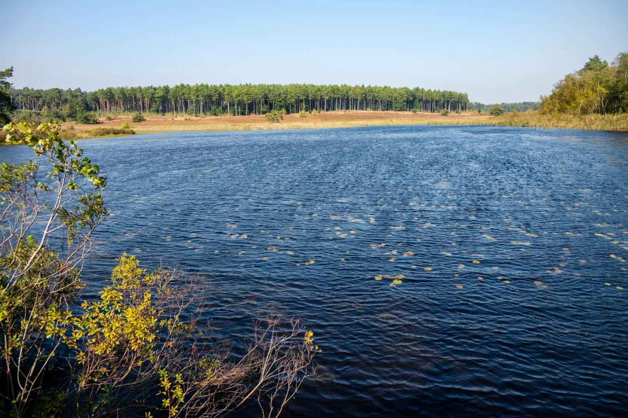 Natuurreservaat De Teut