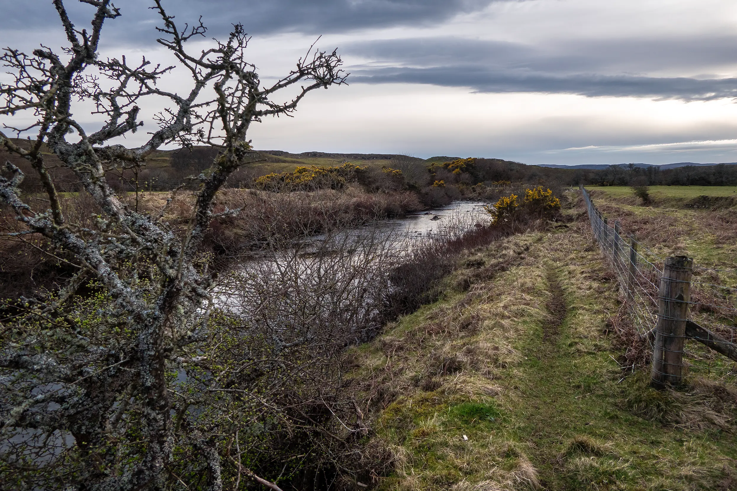 Hinnisdale River Trail