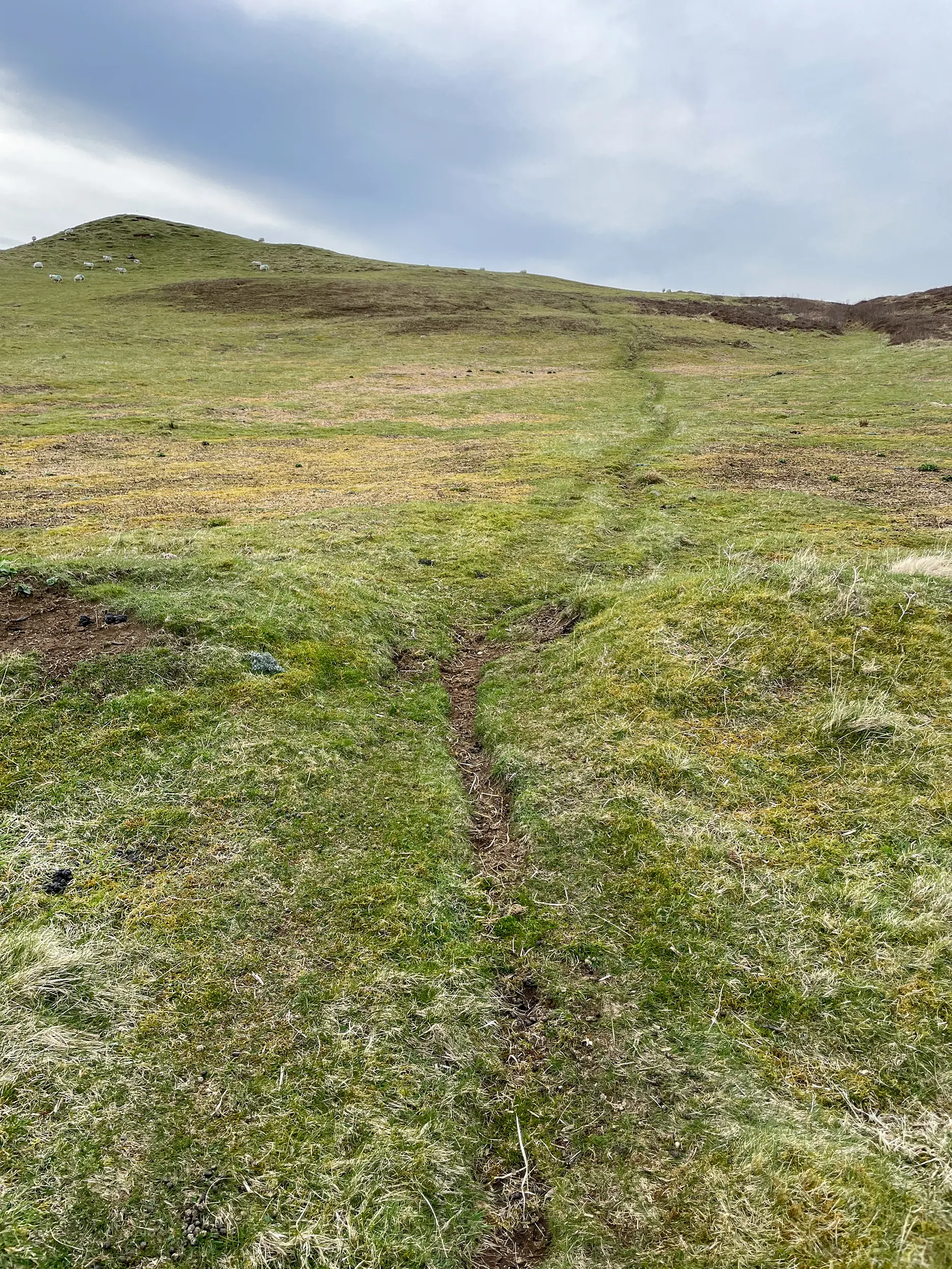 Hinnisdale River Trail