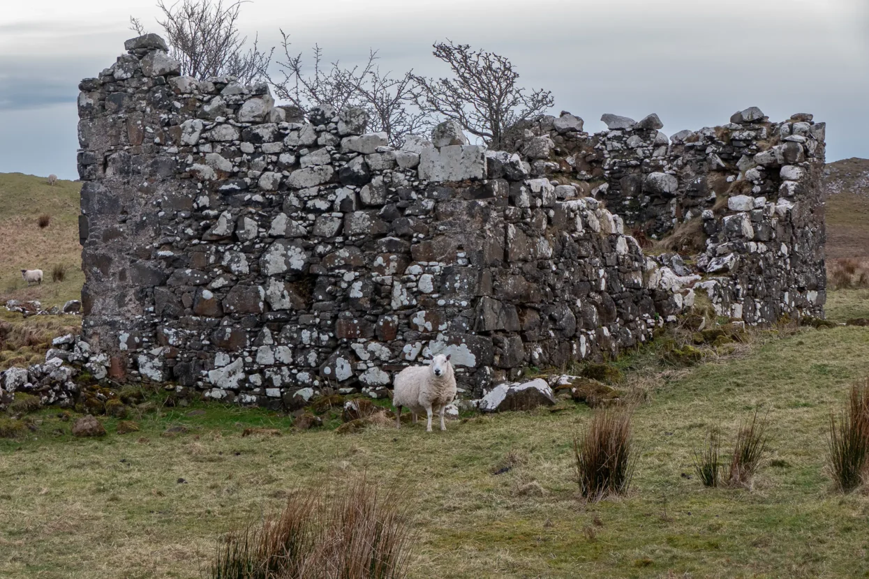 Hinnisdale River Trail