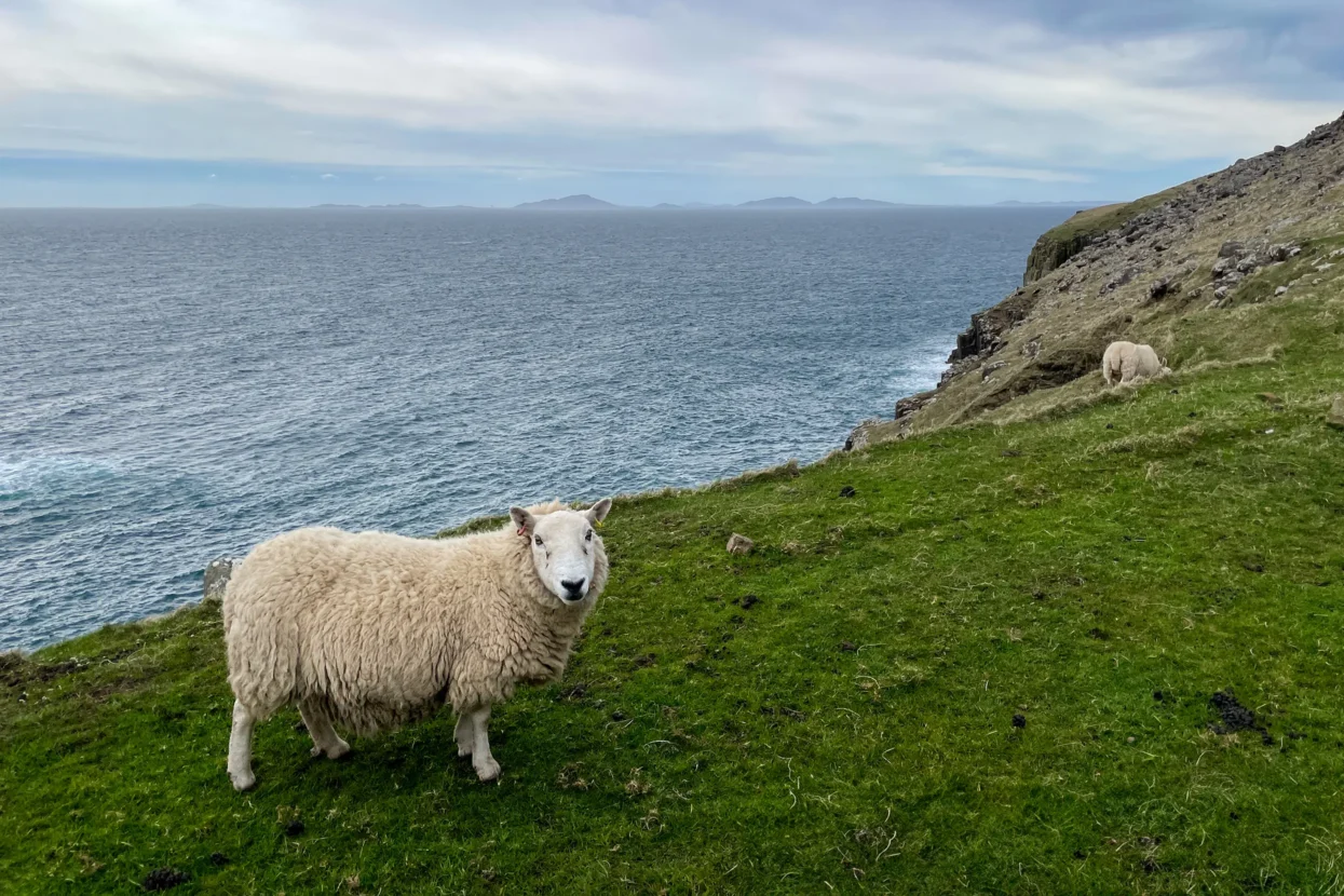 Neist Point