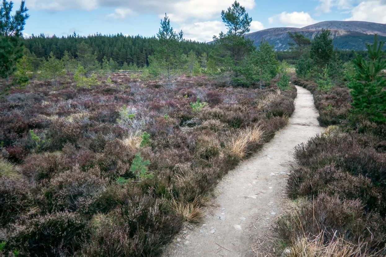 Uath Lochans