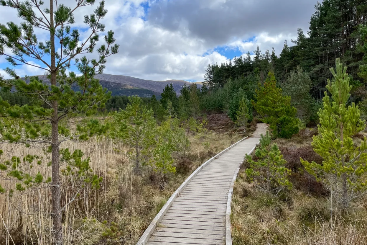 Uath Lochans