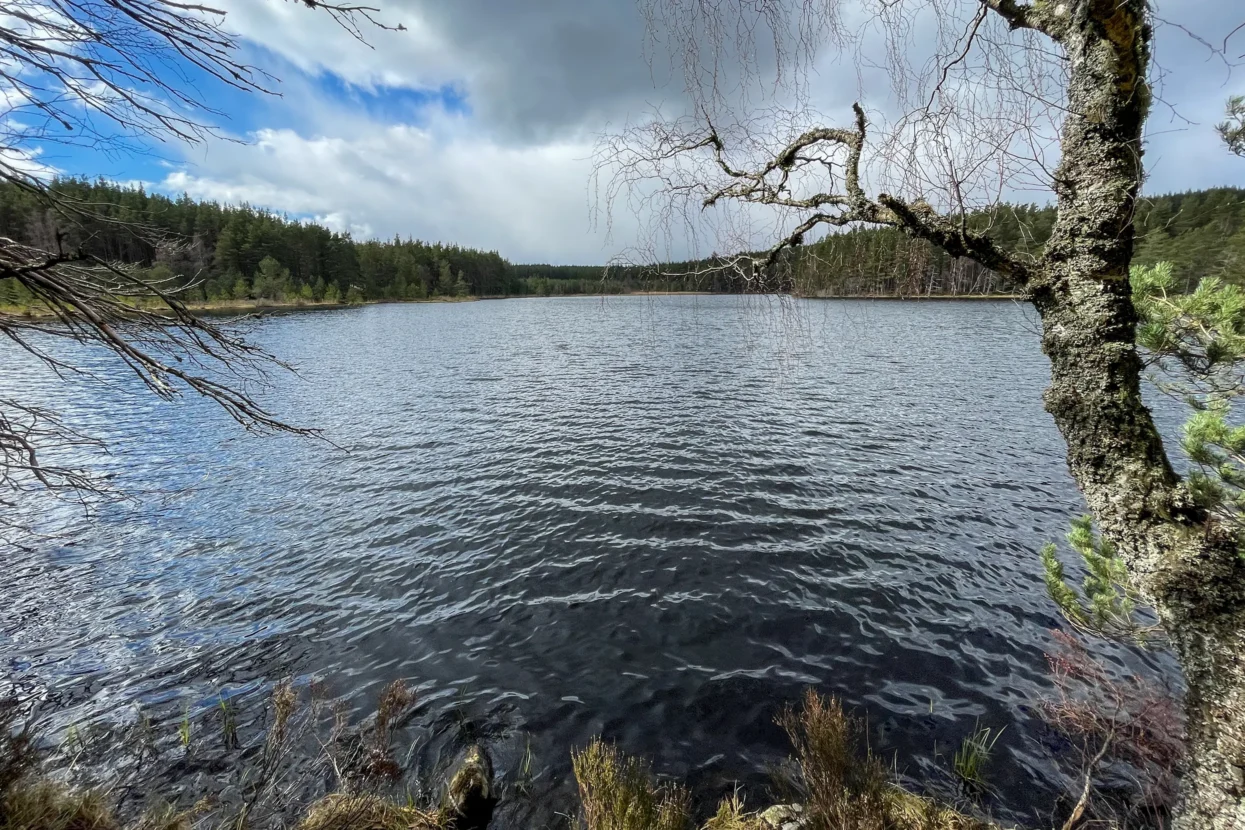 Uath Lochans