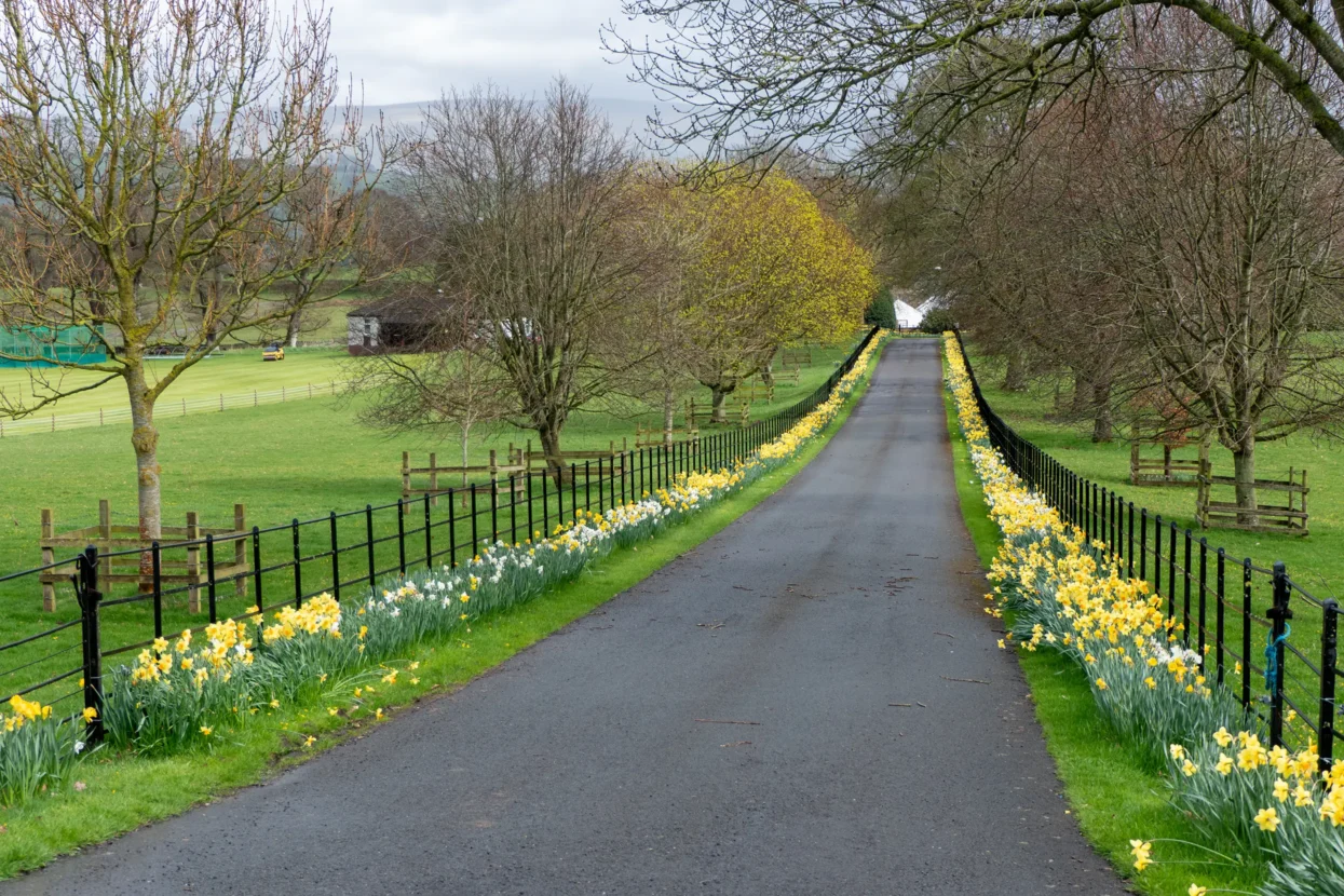 Cumbria