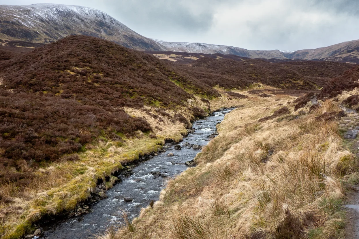 Grey Mare's Tail