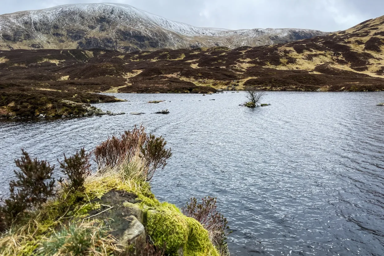 Grey Mare's Tail