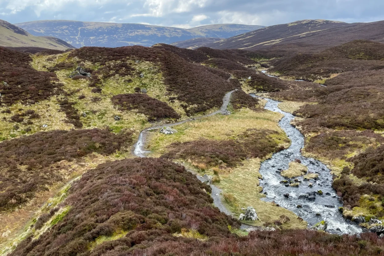 Grey Mare's Tail