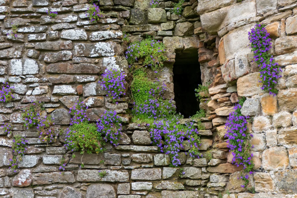 Pendragon Castle