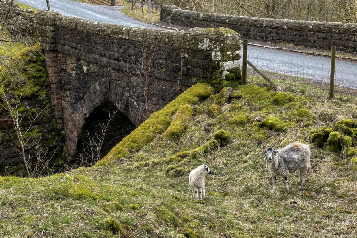 Ribblehead Viaduct