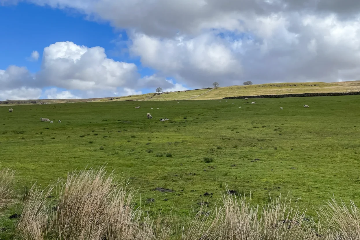 Yorkshire Dales National Park