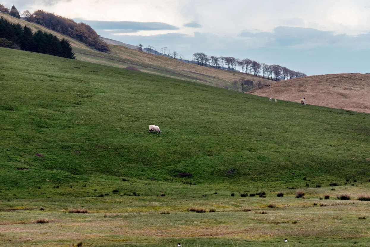 Yorkshire Dales National Park