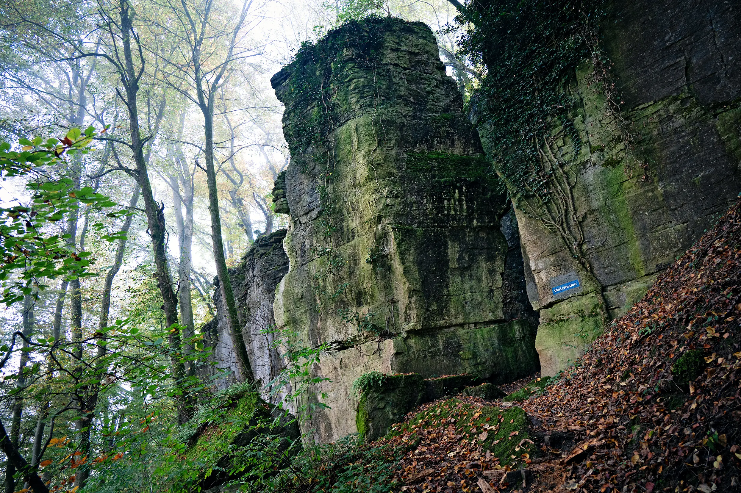 Mullerthal etappe 1
