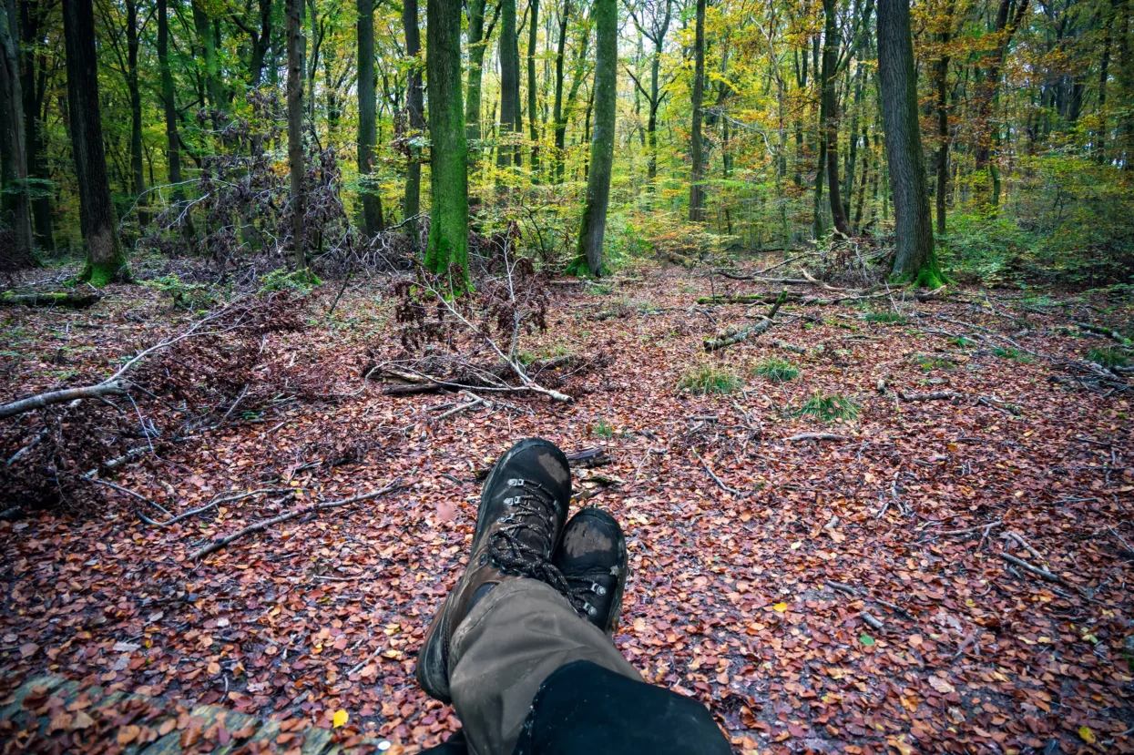 Mullerthal: de Liegebank
