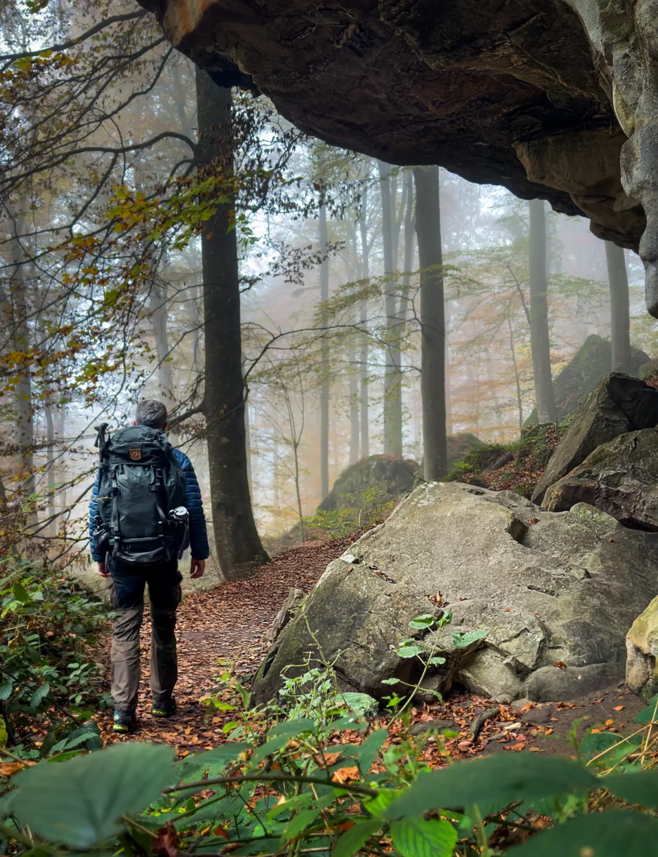 Mullerthal Route 2