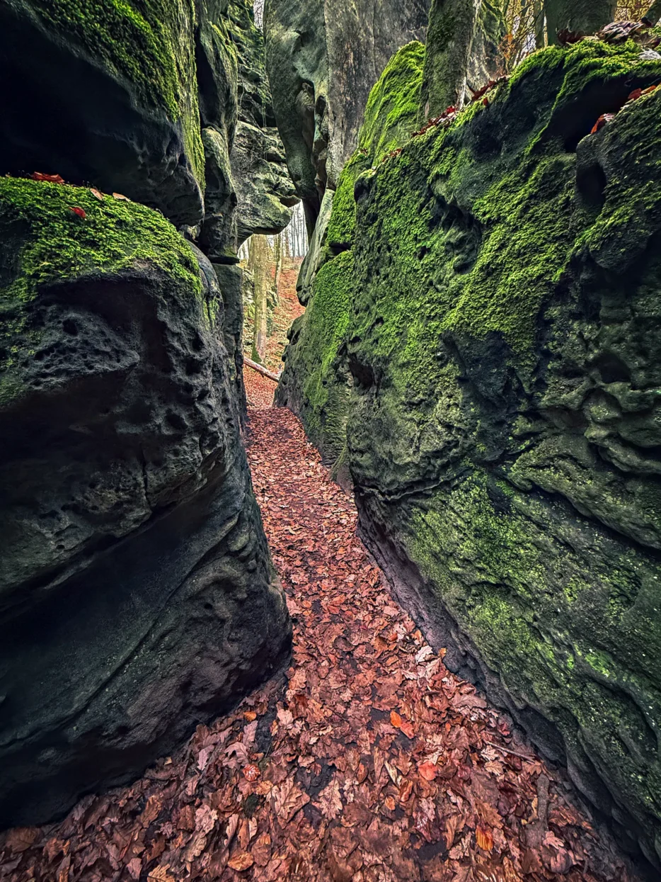 Mullerthal etappe 4